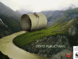 texto publicit rio