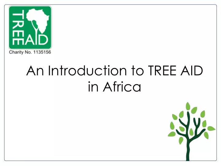 an introduction to tree aid in africa