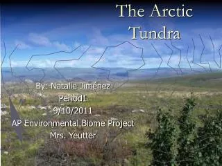The Arctic Tundra