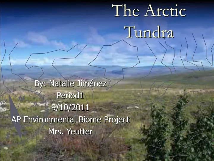 the arctic tundra