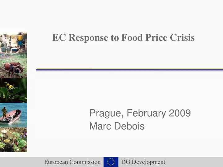 ec response to food price crisis