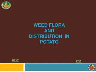 WEED FLORA AND DISTRIBUTION IN POTATO