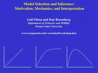Model Selection and Inference: Motivation, Mechanics, and Interpretation