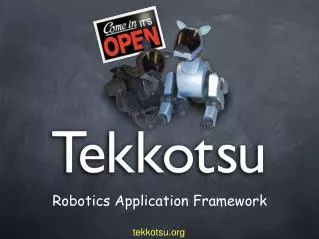 Robotics Application Framework