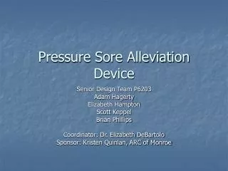 Pressure Sore Alleviation Device