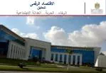 الاقتصاد الرقمى لتحقيق - slide 1