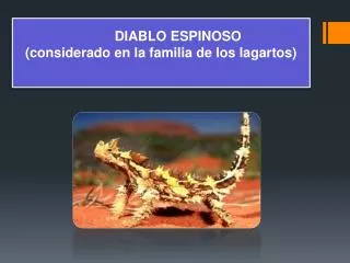 diablo espinoso considerado en la familia de los lagartos
