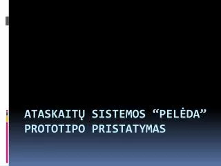 ataskait sistemos pel da prototipo pristatymas