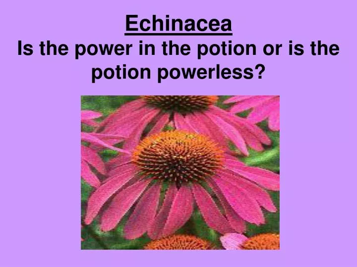 echinacea is the power in the potion or is the potion powerless