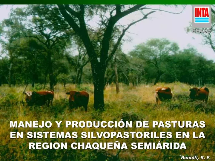 manejo y producci n de pasturas en sistemas silvopastoriles en la region chaque a semi rida