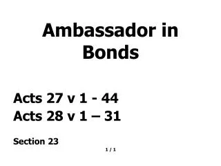 Ambassador in Bonds