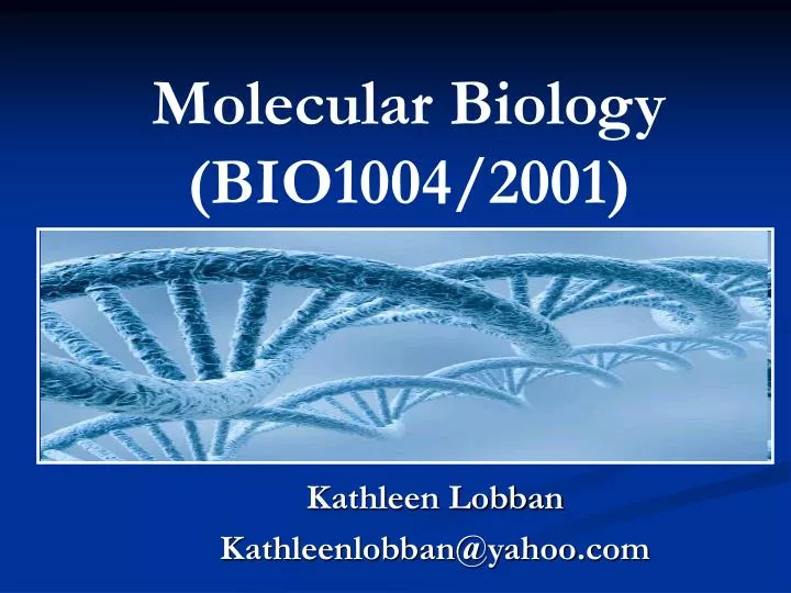 molecular biology bio1004 2001