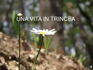 una vita in trincea