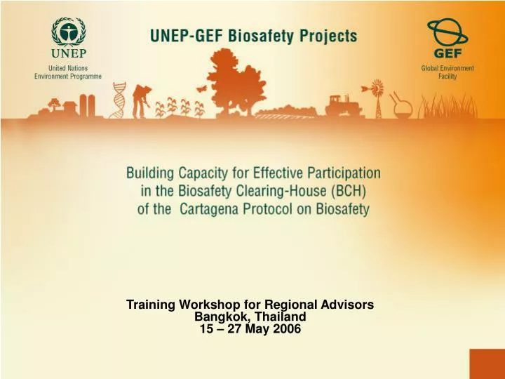 training workshop for regional advisors bangkok thailand 15 27 may 2006