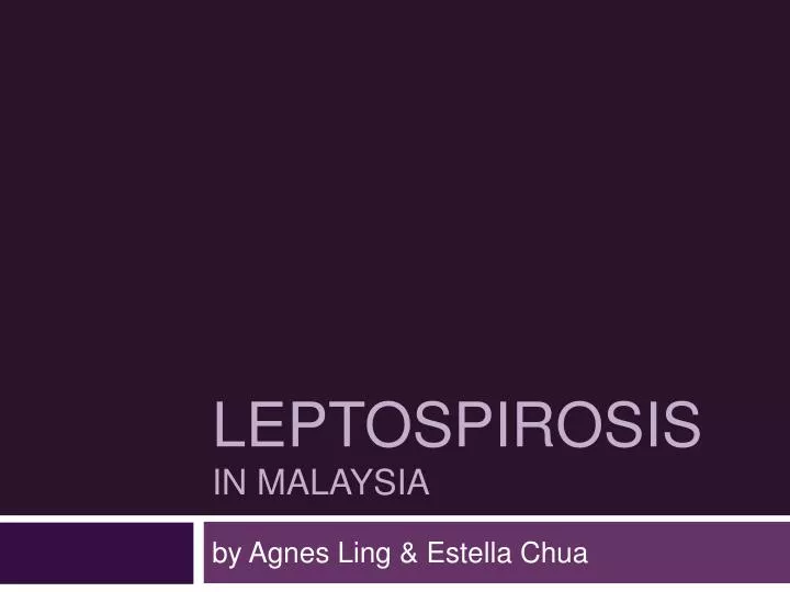 leptospirosis in malaysia