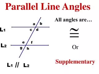 Parallel Line Angles