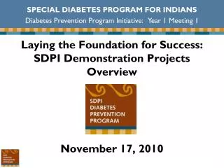 Laying the Foundation for Success: SDPI Demonstration Projects Overview