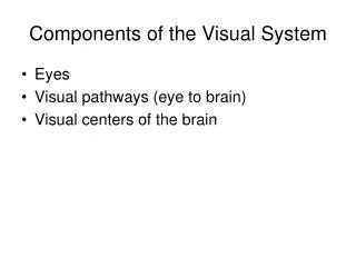 Components of the Visual System