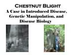 Chestnut Blight - slide 1