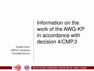 Claudio Forner UNFCCC secretariat Cforner@unfccct