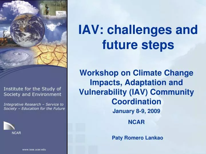 iav challenges and future steps