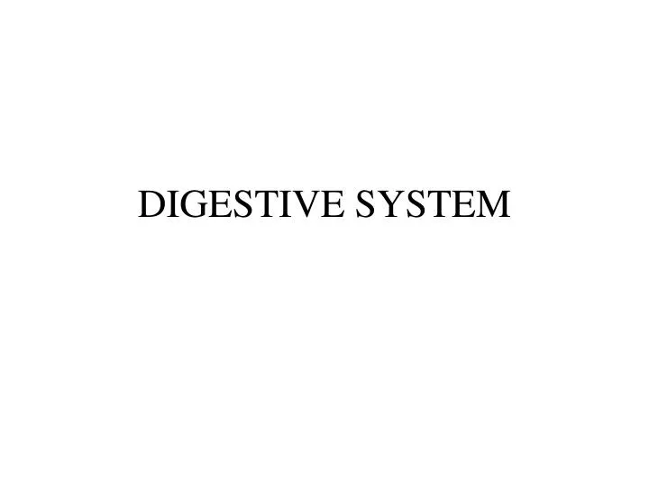 digestive system