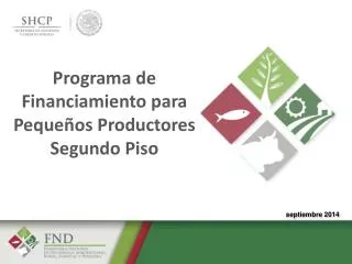 programa de financiamiento para peque os productores segundo piso