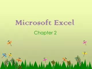 Microsoft Excel