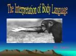 The Interpretation of Body Language by Joyce High Five - slide 1