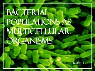 Bacterial Populations as Multicellular Organisms