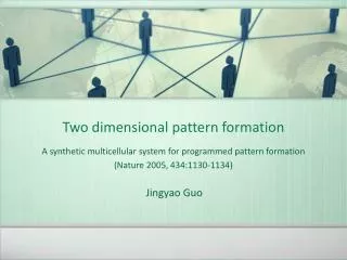 Two dimensional pattern formation