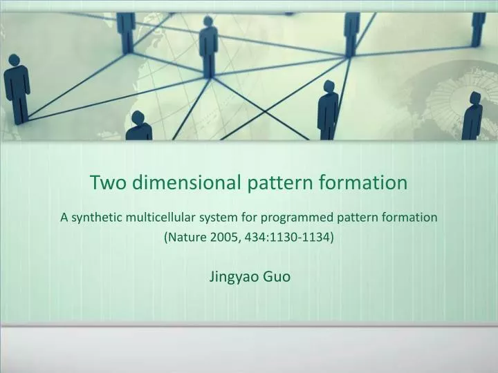 two dimensional pattern formation