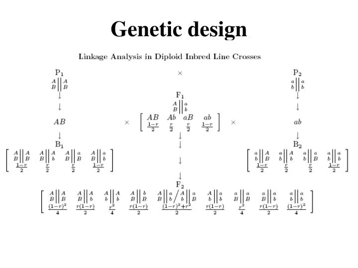 genetic design