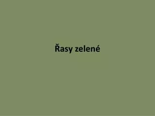 asy zelen