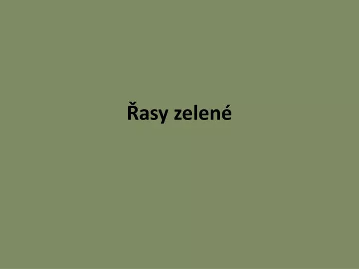 asy zelen