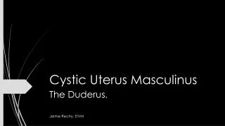 Cystic Uterus Masculinus