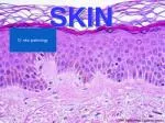 SKIN - slide 1