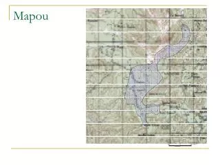 mapou