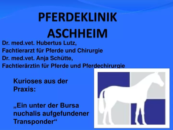 pferdeklinik aschheim