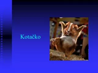 kota ko
