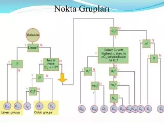 nokta gruplar