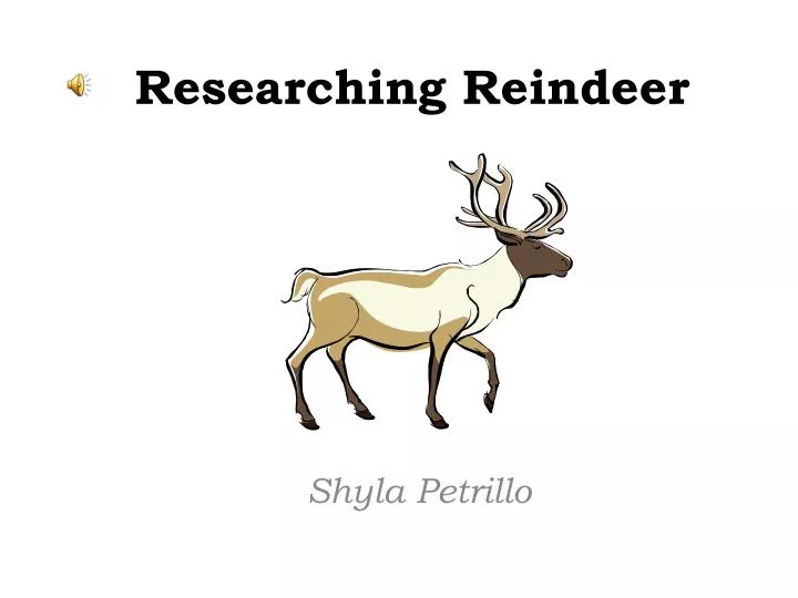 researching reindeer