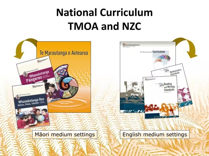 national curriculum tmoa and nzc