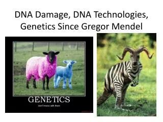 DNA Damage, DNA Technologies, Genetics Since Gregor Mendel