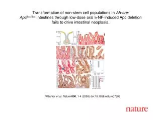 N Barker et al. Nature 000 , 1-4 (2008) doi:10.1038/nature07602