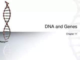 DNA and Genes