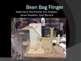 Bean Bag Flinger