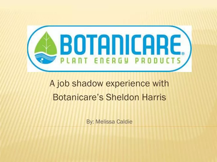 a job shadow experience with botanicare s sheldon harris by melissa caldie