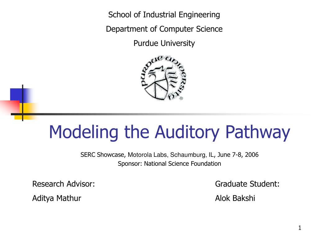 PPT - Modeling the Auditory Pathway PowerPoint Presentation, free ...