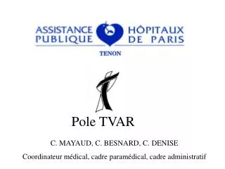 pole tvar